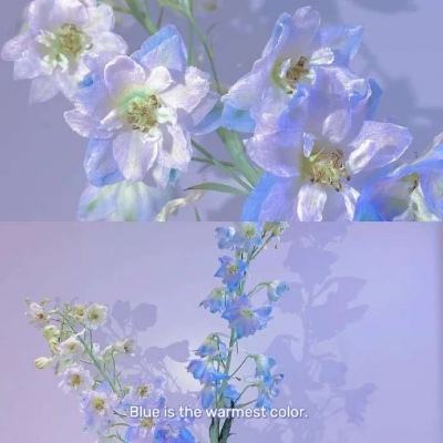 云开官方app下载