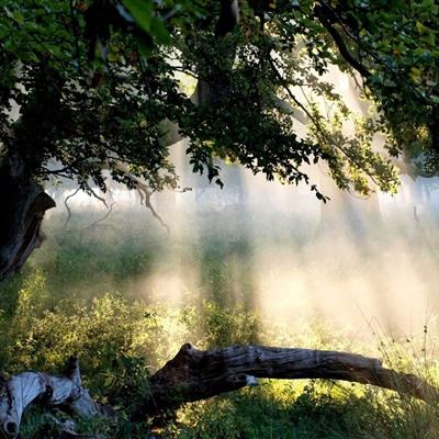 pg游戏官方网站