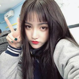 乐动体育下载app下载