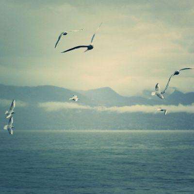 pk10下载官方版下载截图