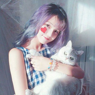 澳门天天免费资料大全下载app下载