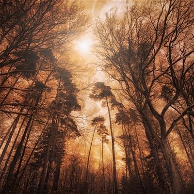 开云·体育平台