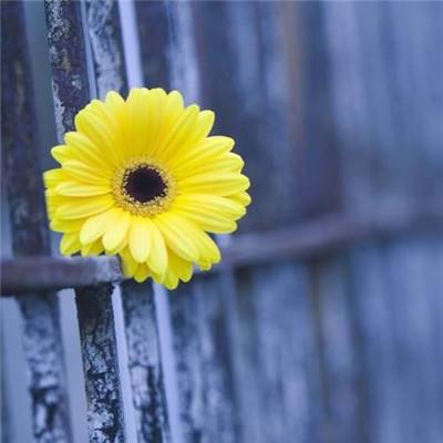 bet官网365app下载1069