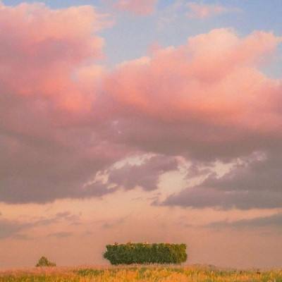 开云网kaiyunapp下载