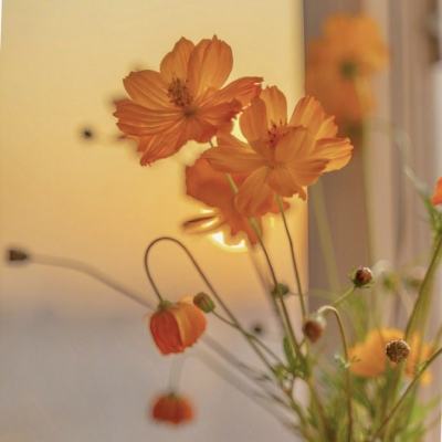 im电竞平台下载手机版