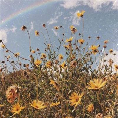 ManBetX客户端登录app下载