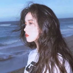 kaiyun平台app下载