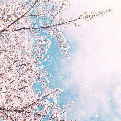 澳门娱乐皇冠APP