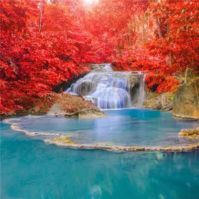 游戏官网平台入口