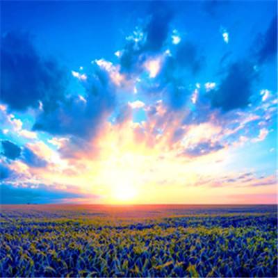 8868体育app下载手机版