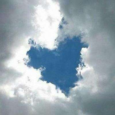 BOB·体育APP下载