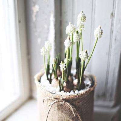 亚星娱乐网下载手机版