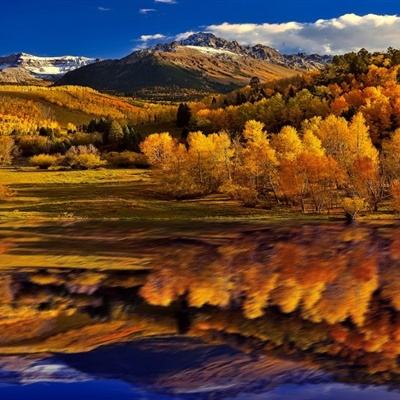 kaiyun电竞入口下载手机版