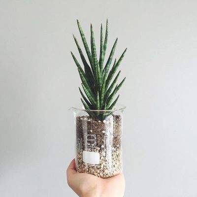 开元ky7818老版本