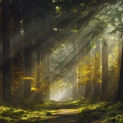 爱游戏ayx体育登录app下载