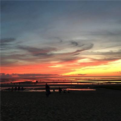 BOB体育综合app入口