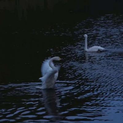 必赢亚洲app下载