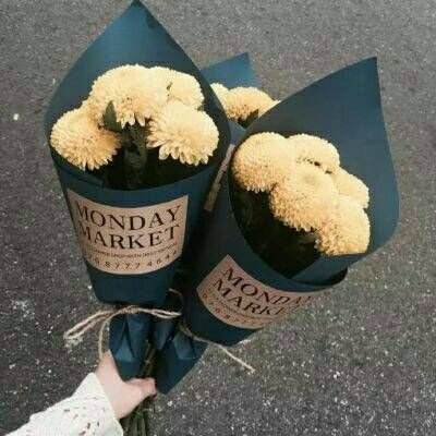 BOB体育综合app官网入口