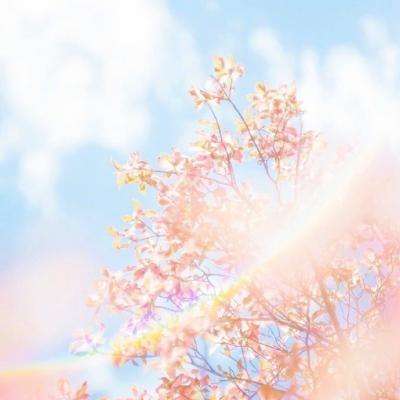 澳门网上黄金城手机app下载