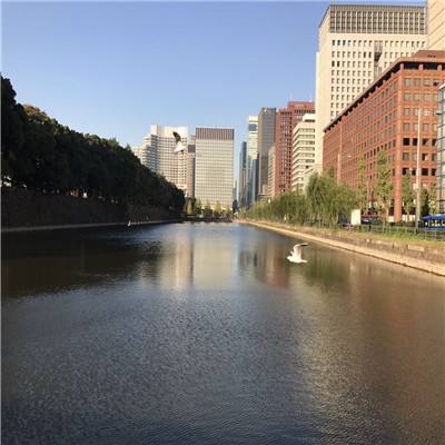 彩票1.999最高倍率