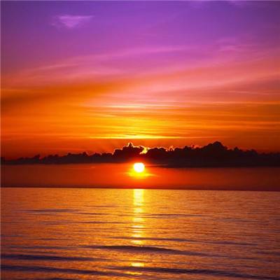 博鱼APP综合体育