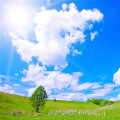 AG官方平台下载