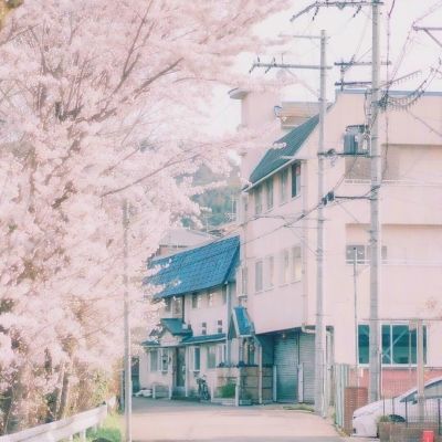 星空体育在线网页版