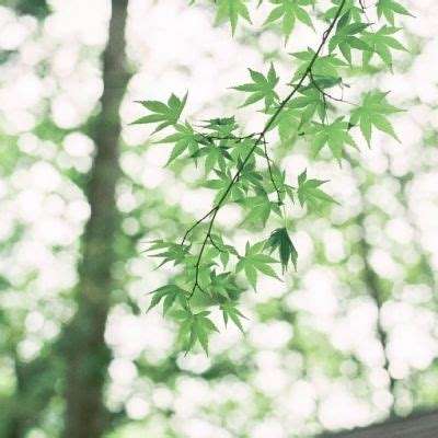 ManBetX客户端登录app下载