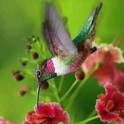 安博体育的最新版本手机app下载