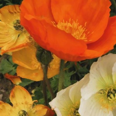 万博手机版max网页版(中国)官方网站app下载