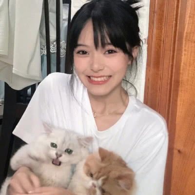 澳门4949资料免费大全