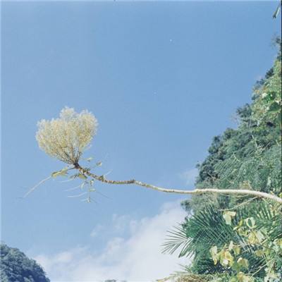 2023年香港资料精准app下载