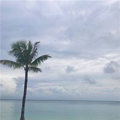 大发黄金版888下载手机app下载