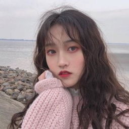 半岛bob·体育官方网站