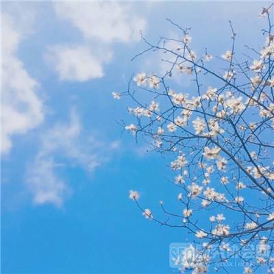 5848vip威尼斯电子游戏app下载