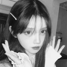 海星体育app下载ios