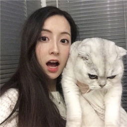 网络举报客户端