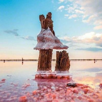 ManBetX网页版登录页面