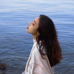 天下彩网站下载手机版