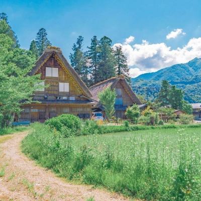 半岛·体育中国官方网站下载