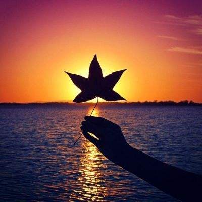 kok综合体育官方app下载