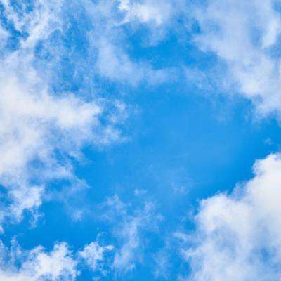 博鱼app下载(中国)官方网站