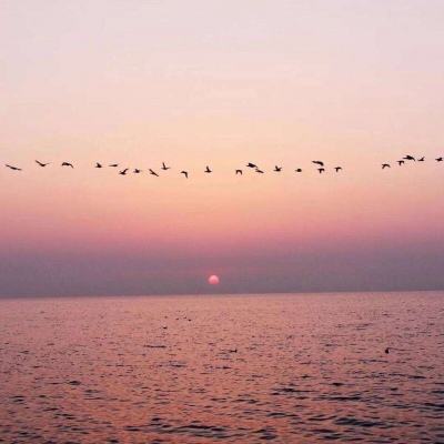 NG体育·(南宫)手机app下载