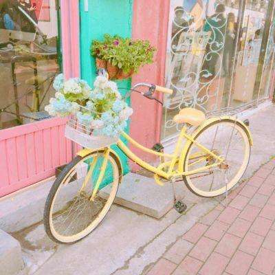 BET体育365投注官网app下载