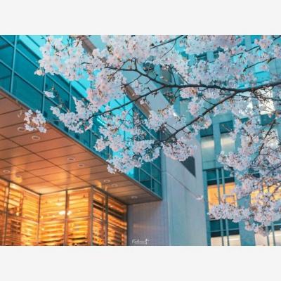 BB贝博平台登录appapp下载