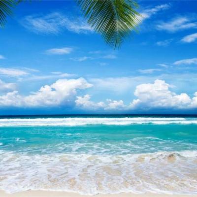 火狐体育APP截图