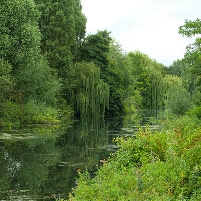 乐发app下载安装