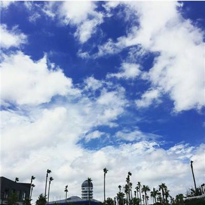 九游会AGapp下载