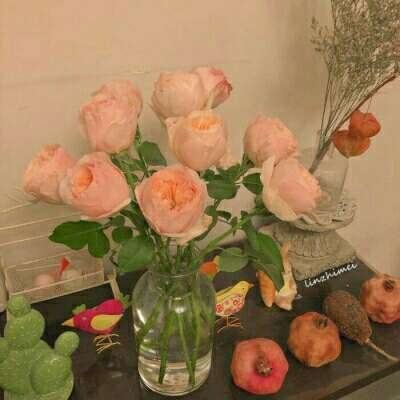 皇冠体育手机版软件截图