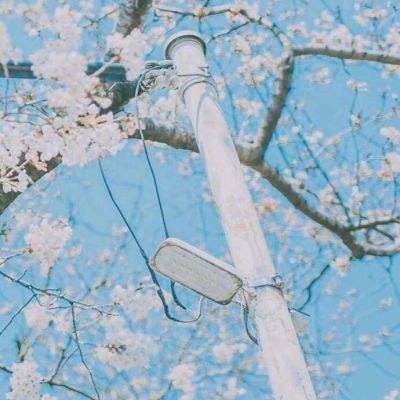 kaiyun手机版网页版登录入口